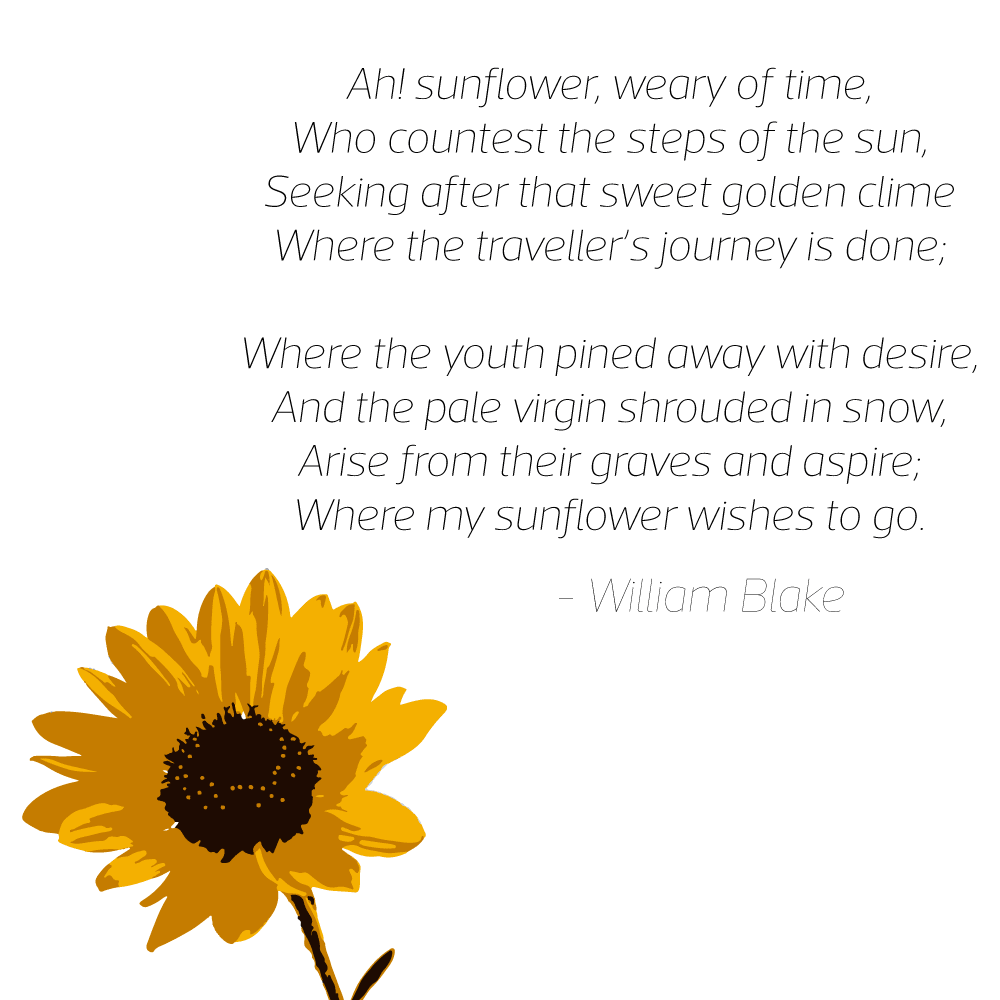 Ah! Sunflower poem by William Blake