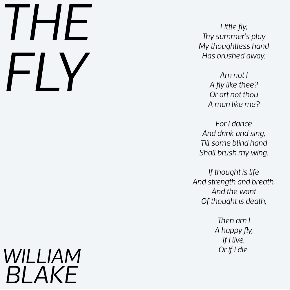 The Fly poem by William Blake