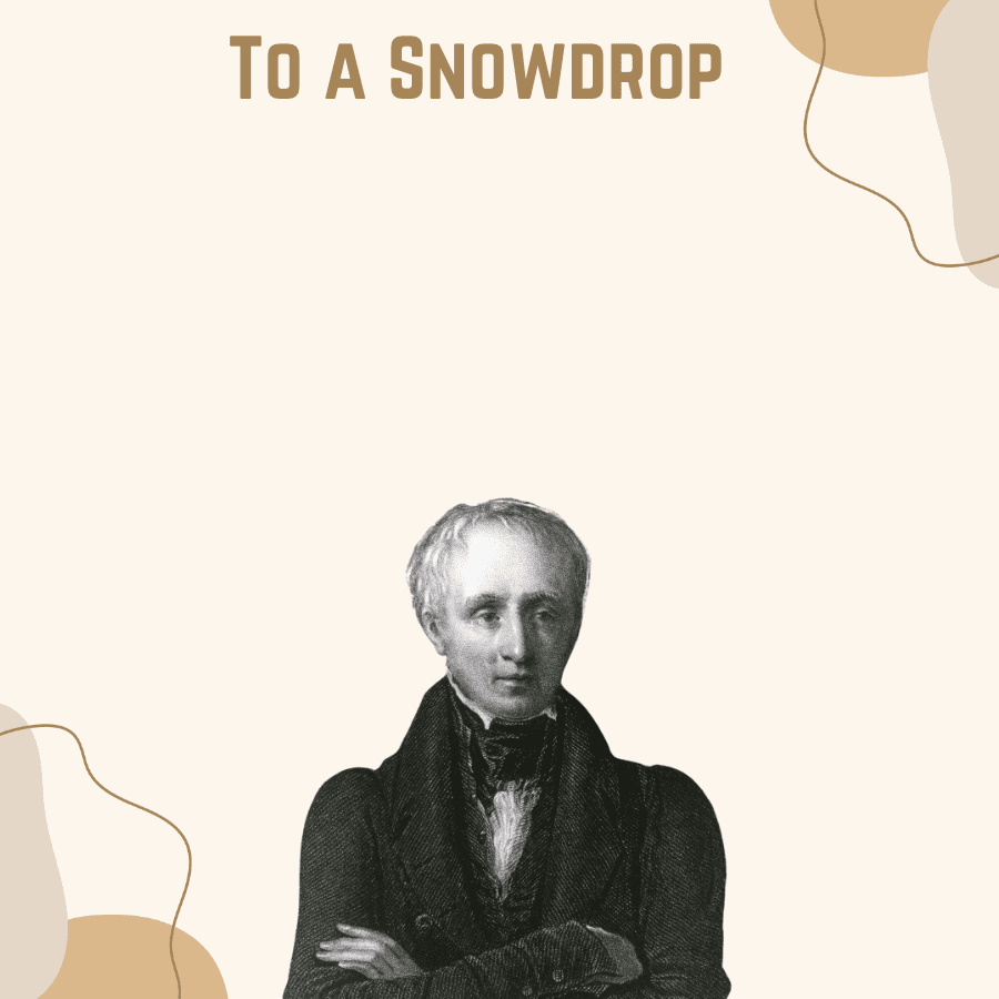 To a Snowdrop by William Wordsworth cover image
